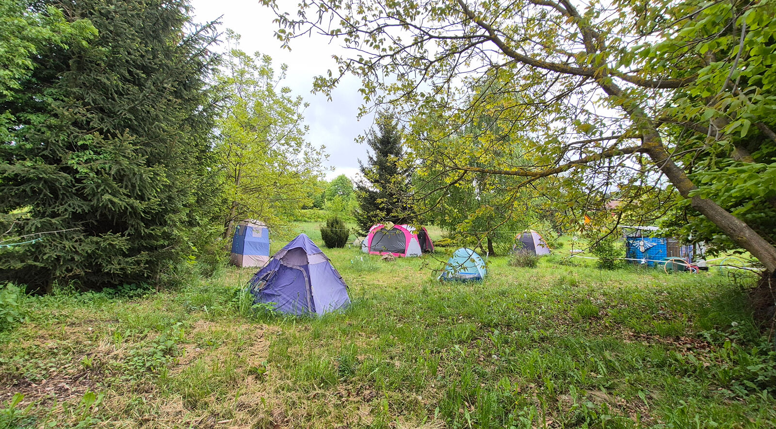 Prodej pozemku 1492 m² Gruna - Žipotín
